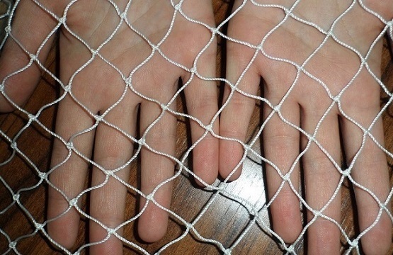Esma Plastik Golgelik File Sera Naylonu Kus Filesi